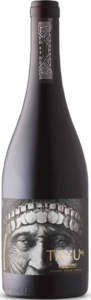 Viña San Pedro Tayu 1865 2021, Malleco Valley Bottle