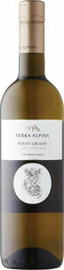 Alois Lageder Terra Alpina Pinot Grigio 2024, Igt Vigneti Delle Dolomiti Bottle