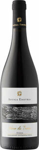 Antica Enotria Nero Di Troia 2022, Igt Puglia Bottle