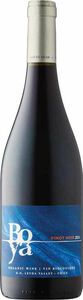 Familia Garcés Silva Boya Pinot Noir 2024, Leyda Valley Bottle