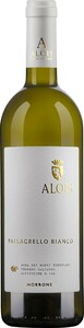 Michele Alois Morrone 2024, Terre Del Volturno Pallagrello Bianco Igp Bottle