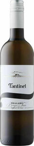 Fantinel Borgo Tesis Friulano 2024, Doc Friuli Bottle