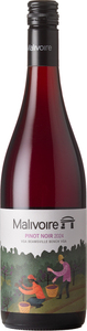 Malivoire Pinot Noir 2024, VQA Beamsville Bench, Niagara Escarpment Bottle
