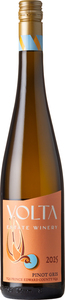 Volta Pinot Gris 2025, Prince Edward County Bottle