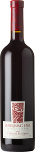 Burrowing Owl Cabernet Sauvignon 2023, Okanagan Valley Bottle