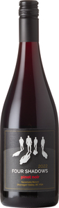 Four Shadows Pinot Noir 2022, VQA Naramata Bench Okanagan Valley Bottle