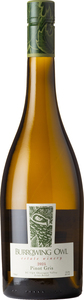 Burrowing Owl Pinot Gris 2025, Okanagan Valley Bottle