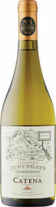 Catena Appellation Chardonnay 2024, Tupungato, Mendoza Bottle