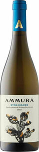 Ammura Etna Bianco 2022, Doc Bottle