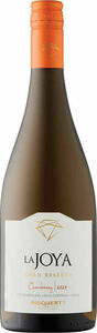 Bisquertt La Joya Gran Reserva Chardonnay 2024, Valle Central Bottle