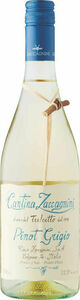 Zaccagnini Tralcetto Pinot Grigio 2025 Bottle