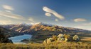TEST NZ WINERY 15